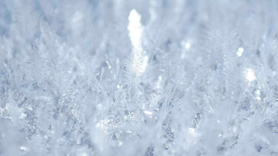 The Science Behind Ice Buildup on WalkIn Freezer Panel Joints