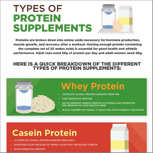 INFOGRAPHIC: Which Protein Supplement Is Right For You - MarketScale