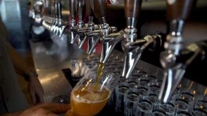 Pouring fresh beer.