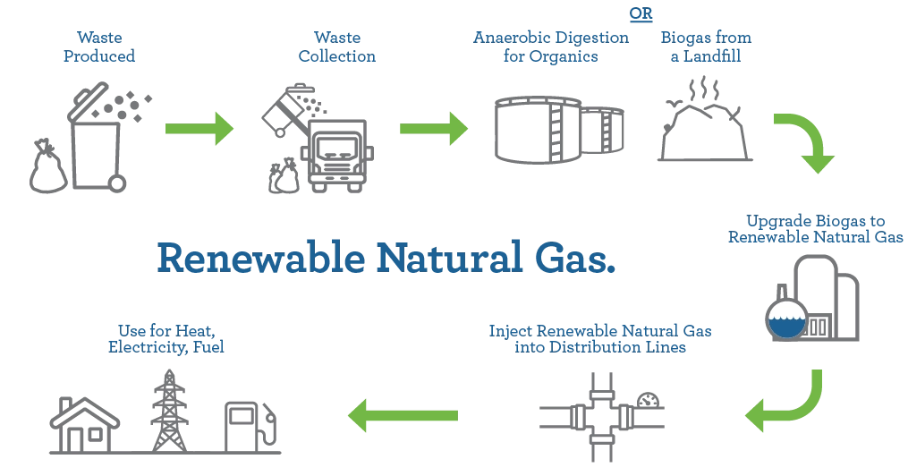 Renewable Natural Gas