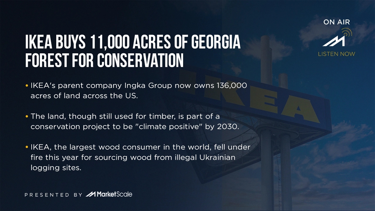 IKEA Buys 11,000 Acres of Forest(02)