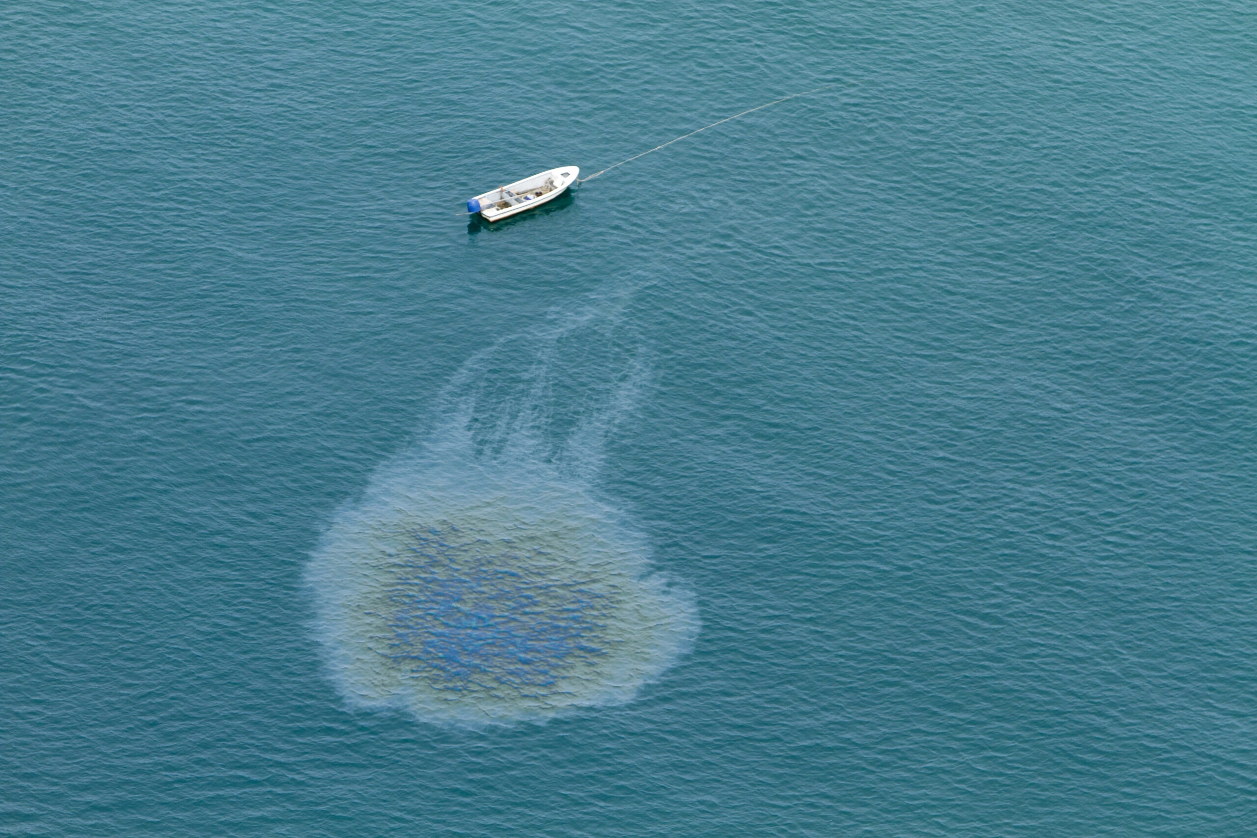 California Oil Spill is a “Tempest in a Teapot,” Oil Economist Says