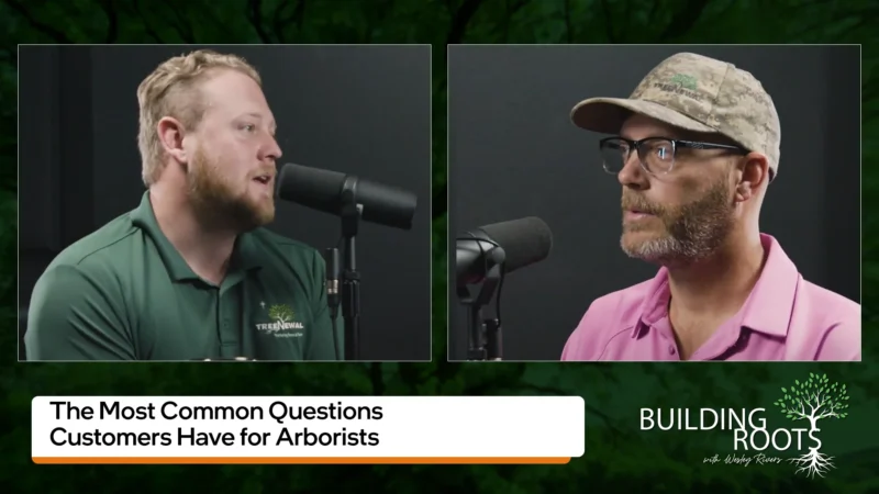 The Most Common Asked Questions for Arborists