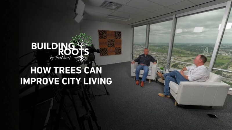 How Trees can improve city living