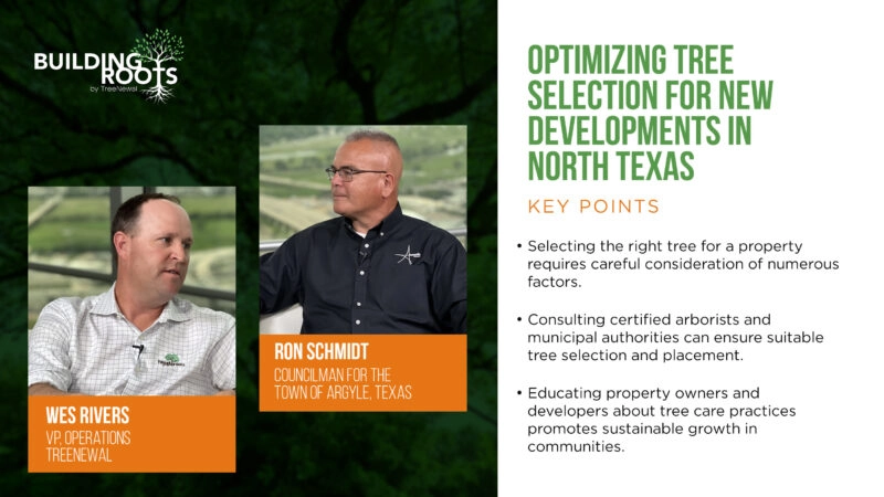 Optimizing Tree Selection for New Developments in North Texas