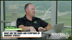 What Are The Signs and Symptoms of Drought Stress