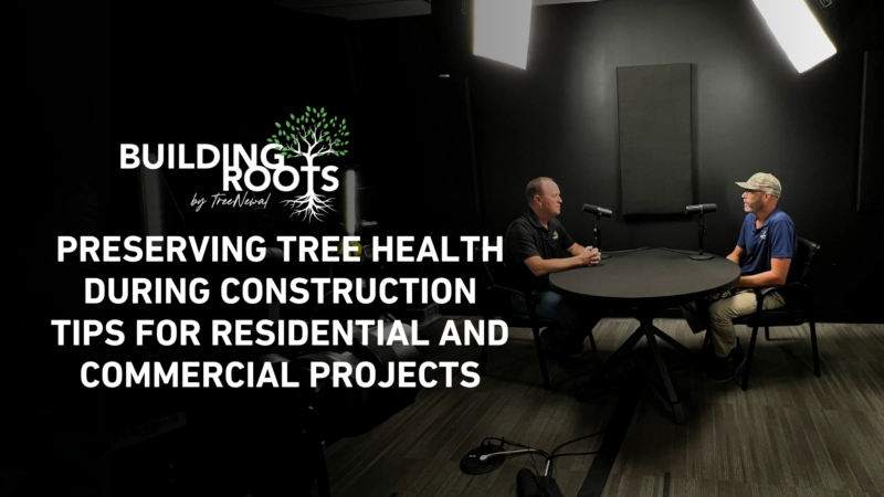 Preserving Tree Health During Construction Tips for Residential and Commercial Projects