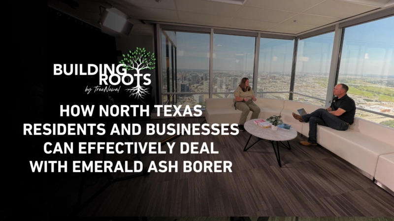 How North Texas Residents and Businesses Can Effectively Deal with Emerald Ash Borer