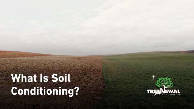 What Is Soil Conditioning?
