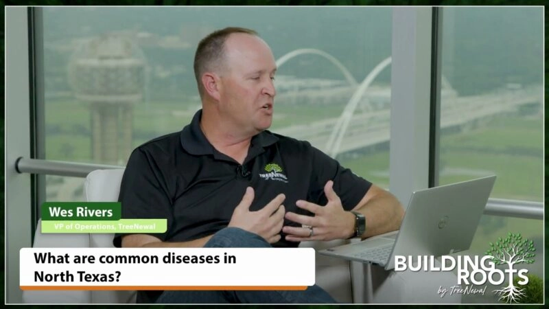What Are Common Diseases In North Texas?
