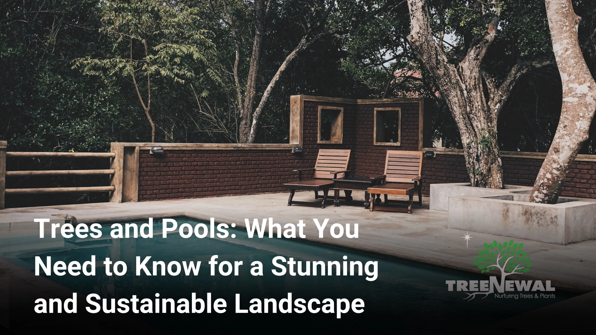 Trees and Pools: What You Need to Know for a Stunning and Sustainable Landscape