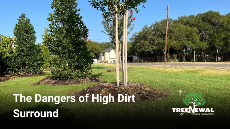 The Dangers of High Dirt Surround