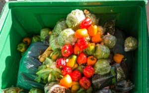 reduce food waste