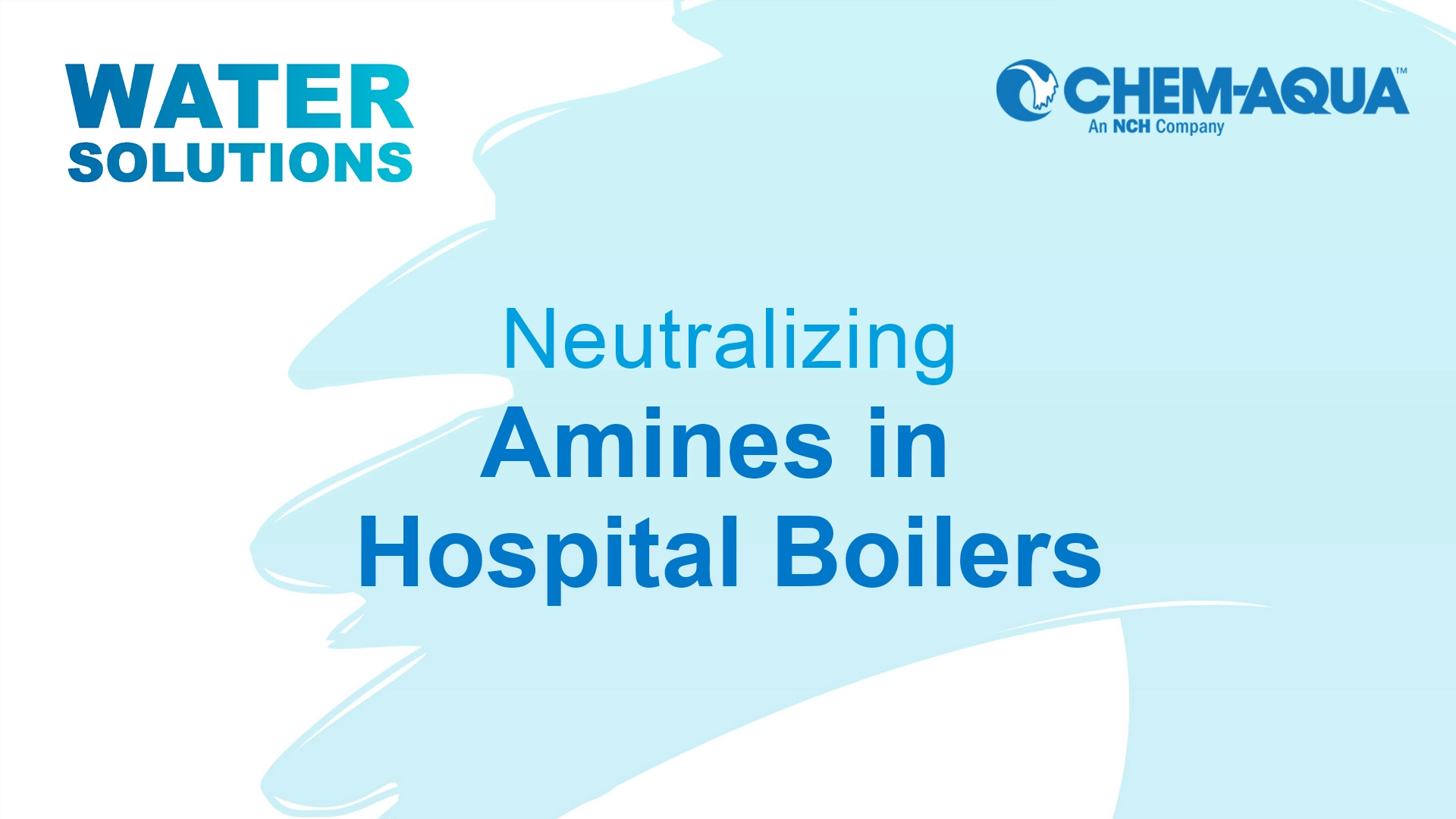Neutralizing Amines in Hospital Boilers MarketScale