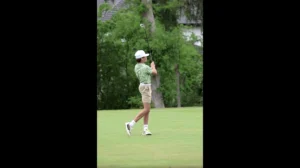 little linksters